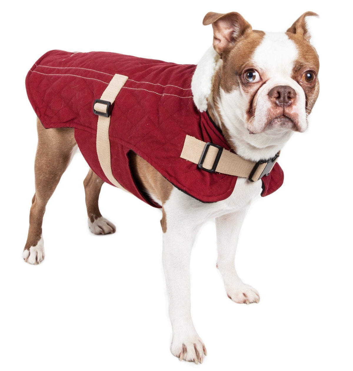 Touchdog Original Sherpa-Bark Designer Fashion Dog Coat