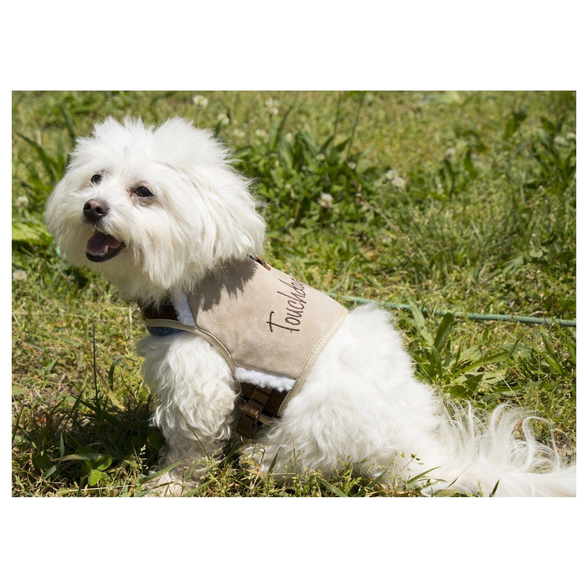 Touchdog Tough-Boutique 2-in-1 Adjustable Fashion Dog Harness and Leash | HT Animal Supply