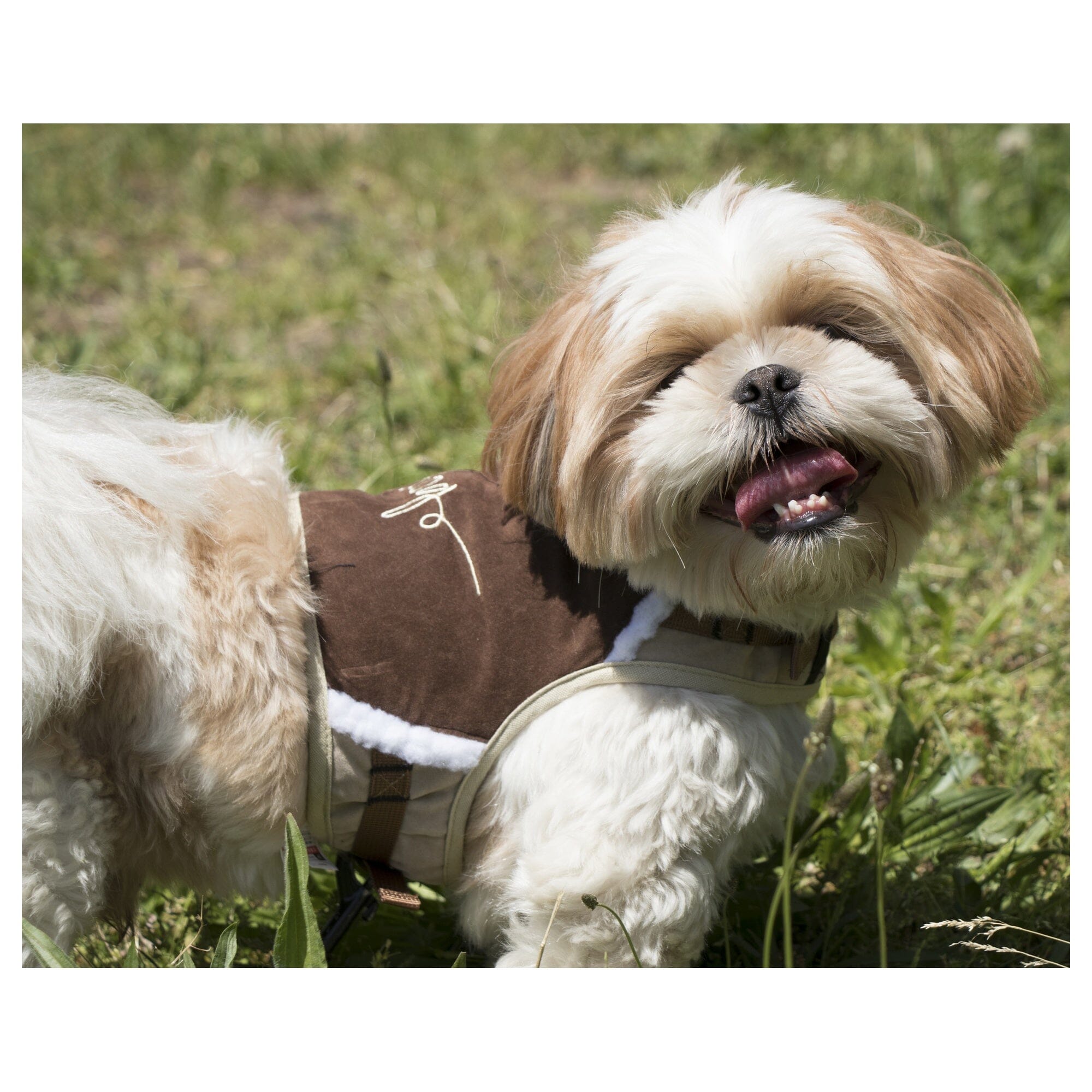 Touchdog Tough-Boutique 2-in-1 Adjustable Fashion Dog Harness and Leash | HT Animal Supply