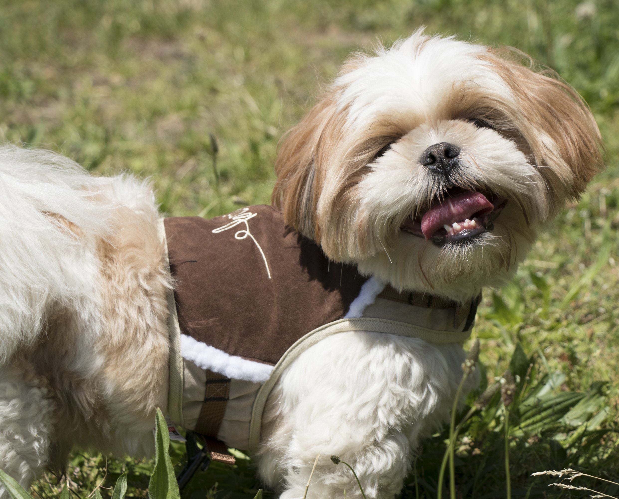 Touchdog Tough-Boutique 2-in-1 Adjustable Fashion Dog Harness and Leash