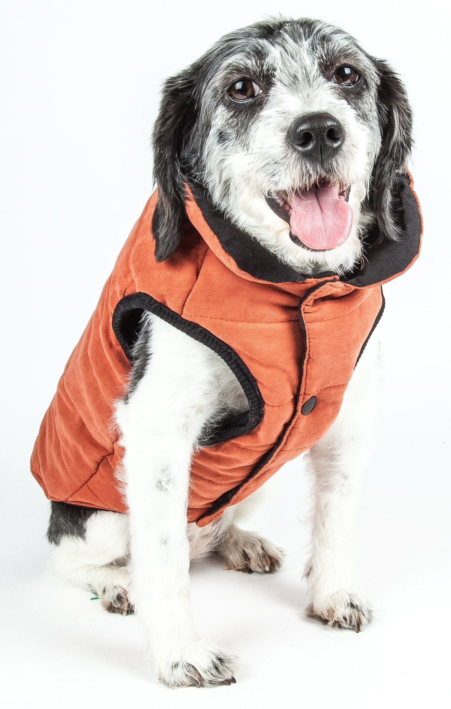 Touchdog Waggin Swag Ultra-Plush Insulated and Reversible Dog Coat