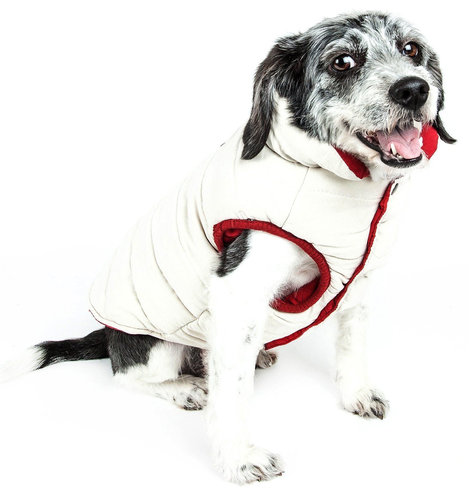 Touchdog Waggin Swag Ultra-Plush Insulated and Reversible Dog Coat