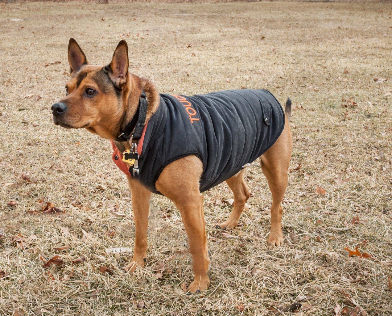 Touchdog Waggin Swag Ultra-Plush Insulated and Reversible Dog Coat