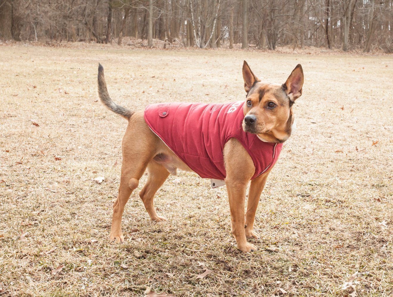 Touchdog Waggin Swag Ultra-Plush Insulated and Reversible Dog Coat