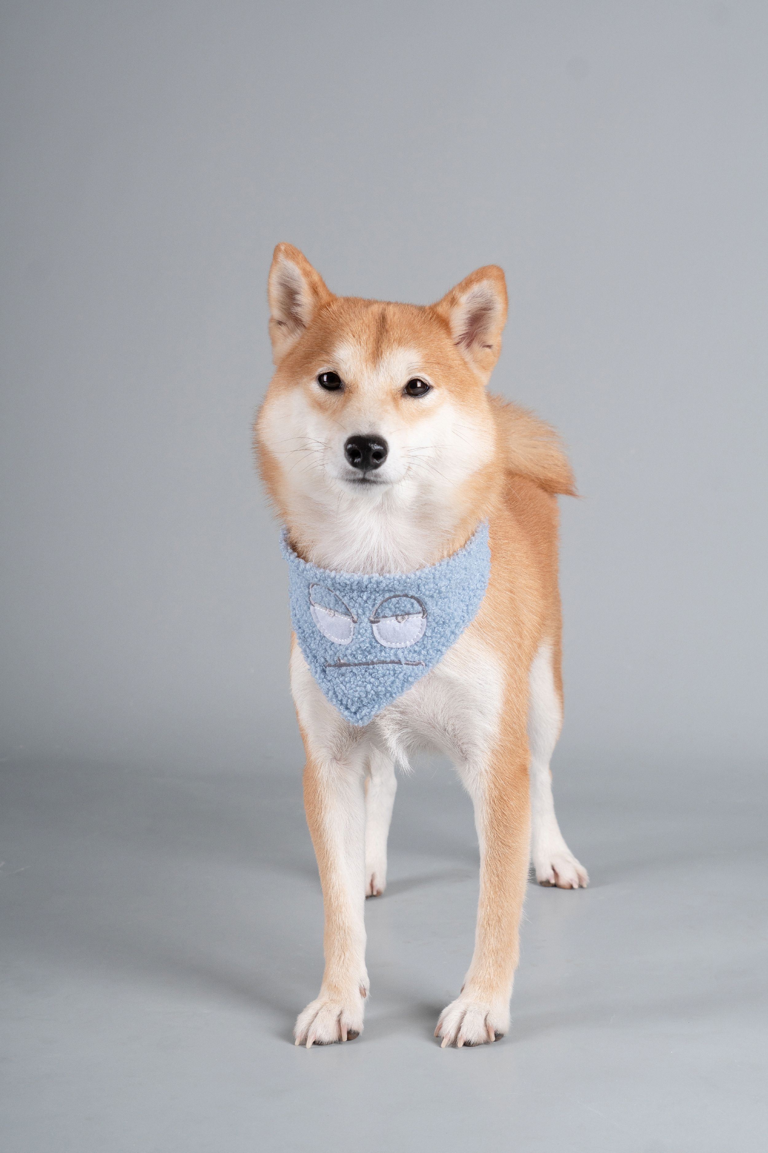 Touchdog Dizzy-Eyed Cyclops Cotton Hook-and-Loop Dog Bandana and Scarf