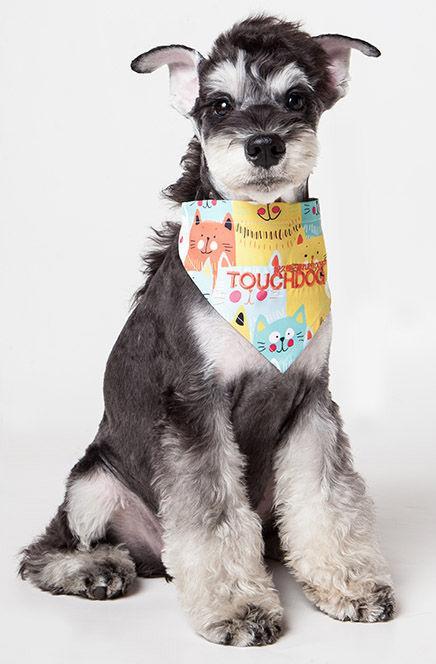 Touchdog Head-Popper Fashion Designer Printed Hook-and-Loop Dog Bandana