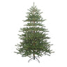 Kurt Adler 7-Foot Pre-Lit Warm White LED Mountain Pine Tree