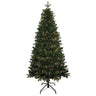 Kurt Adler 6-Foot Pre-Lit Clear Incandescent Studio Spruce Tree