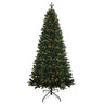Kurt Adler 7-Foot Pre-Lit LED Studio Spruce Tree