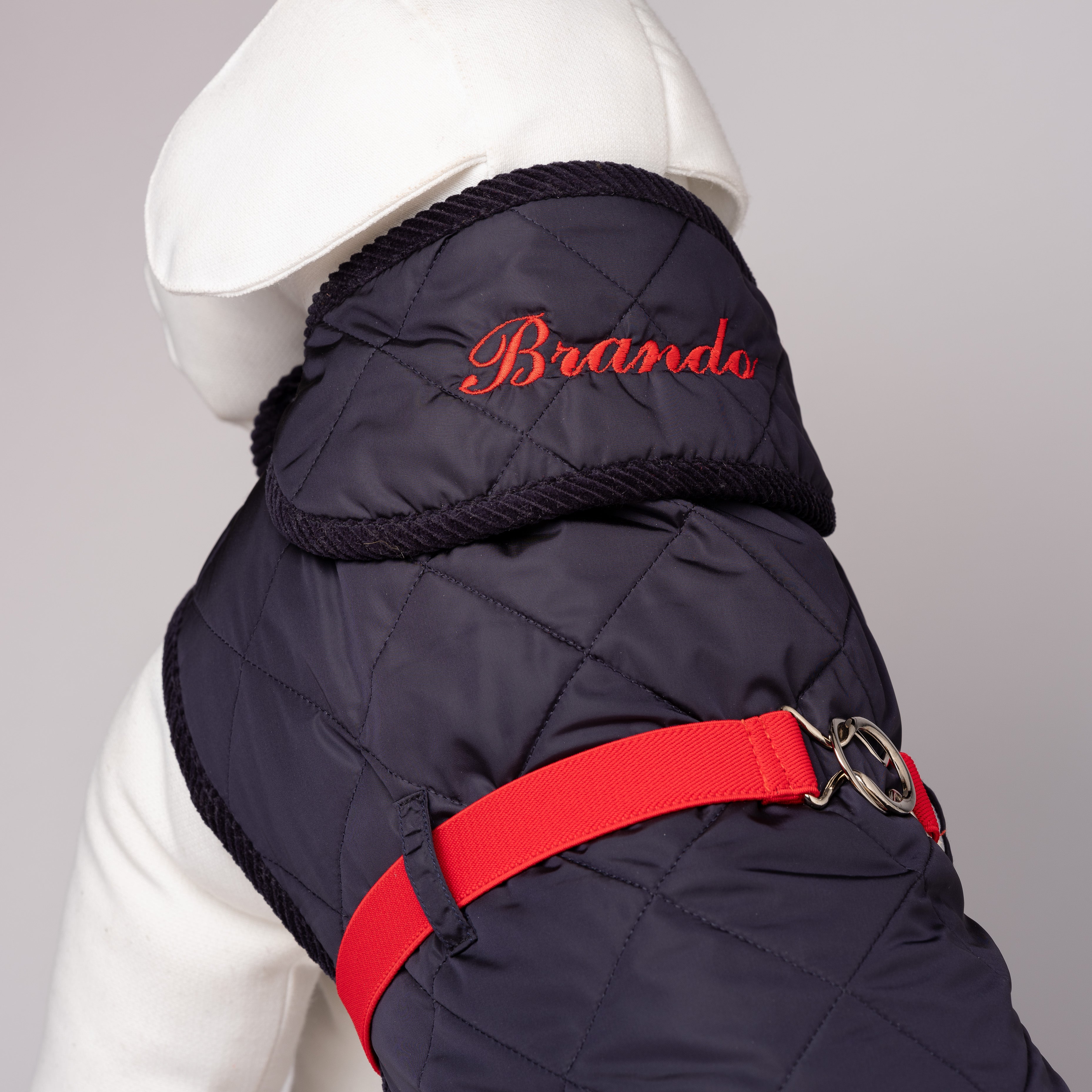 Blue-Red & Quilt Rain