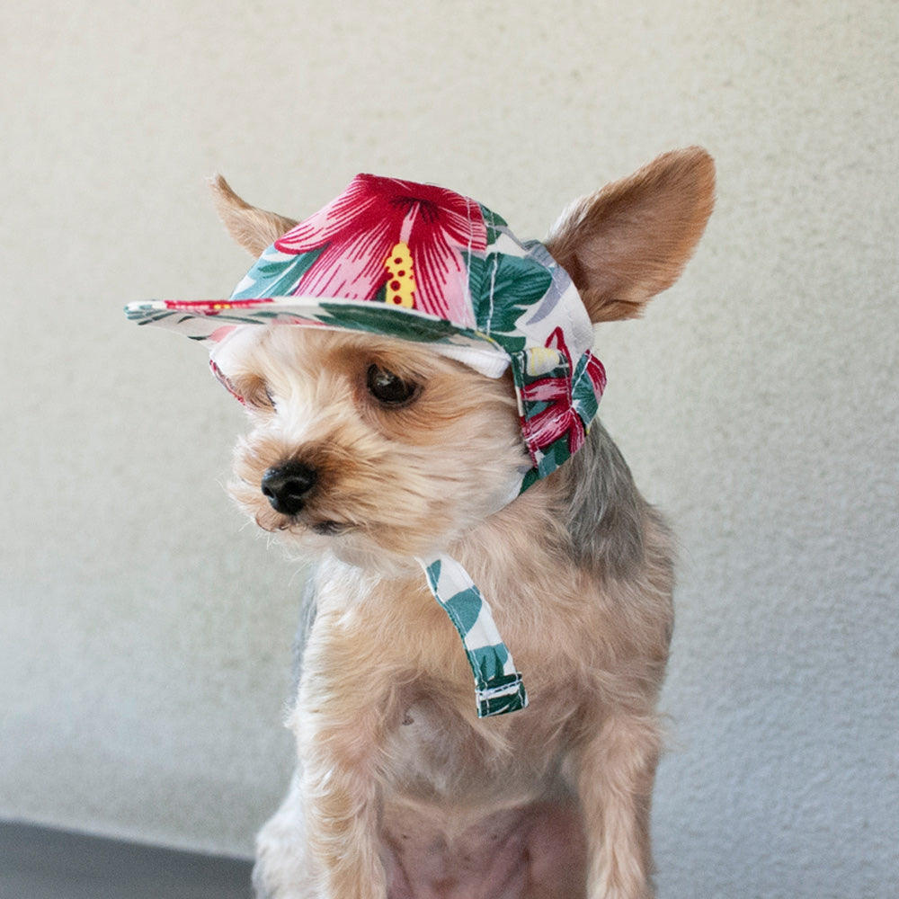 DOGO Tropical Island Dog Baseball Hat
