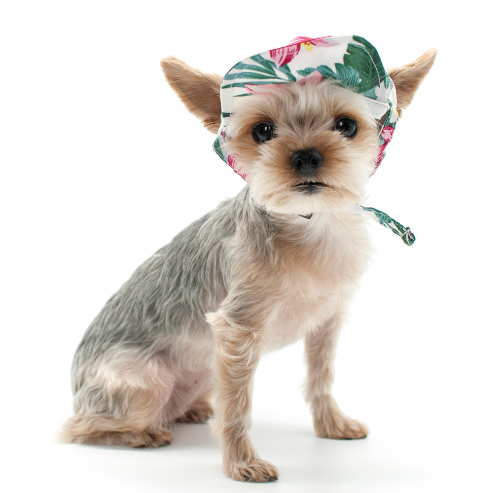 DOGO Tropical Island Dog Baseball Hat