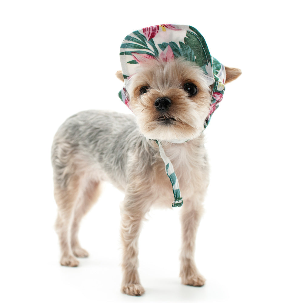 DOGO Tropical Island Dog Baseball Hat