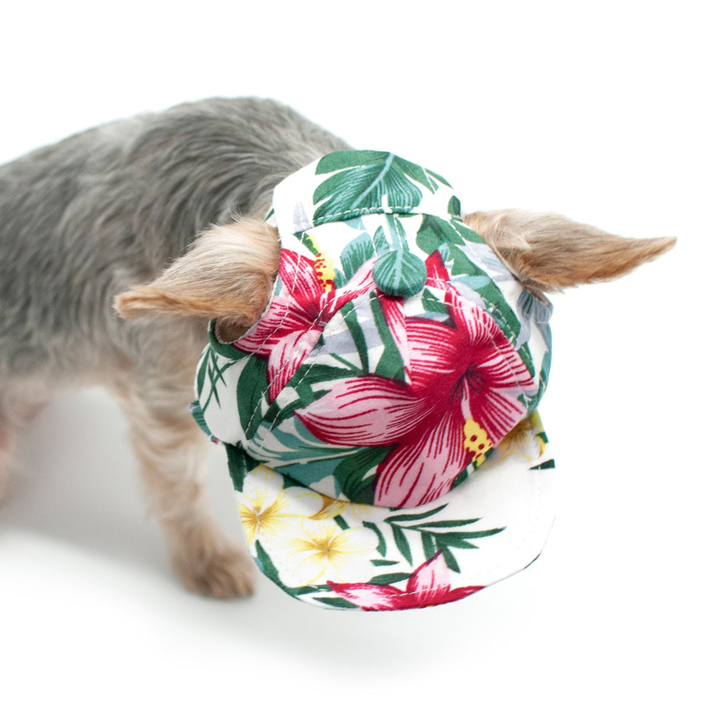 DOGO Tropical Island Dog Baseball Hat