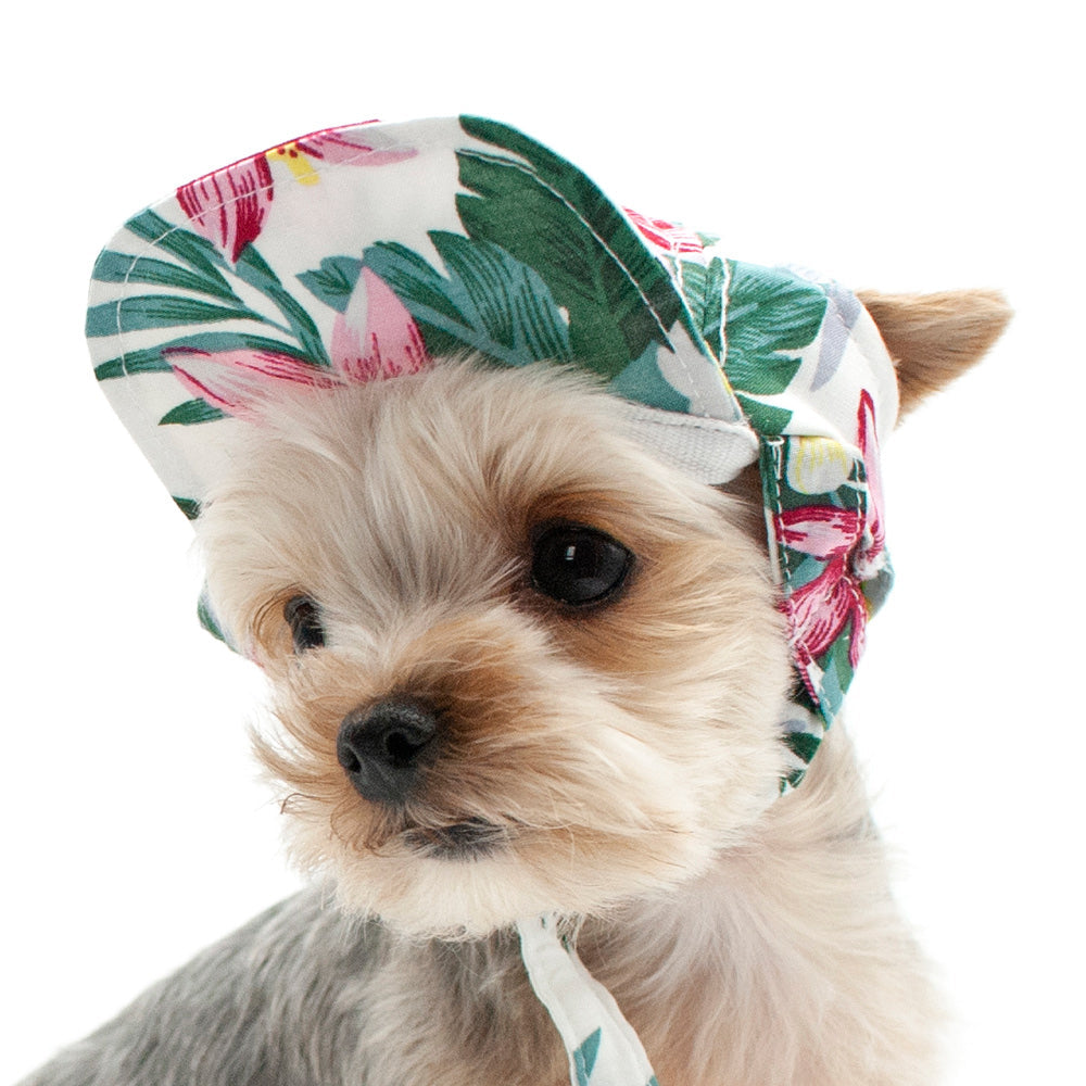 DOGO Tropical Island Dog Baseball Hat