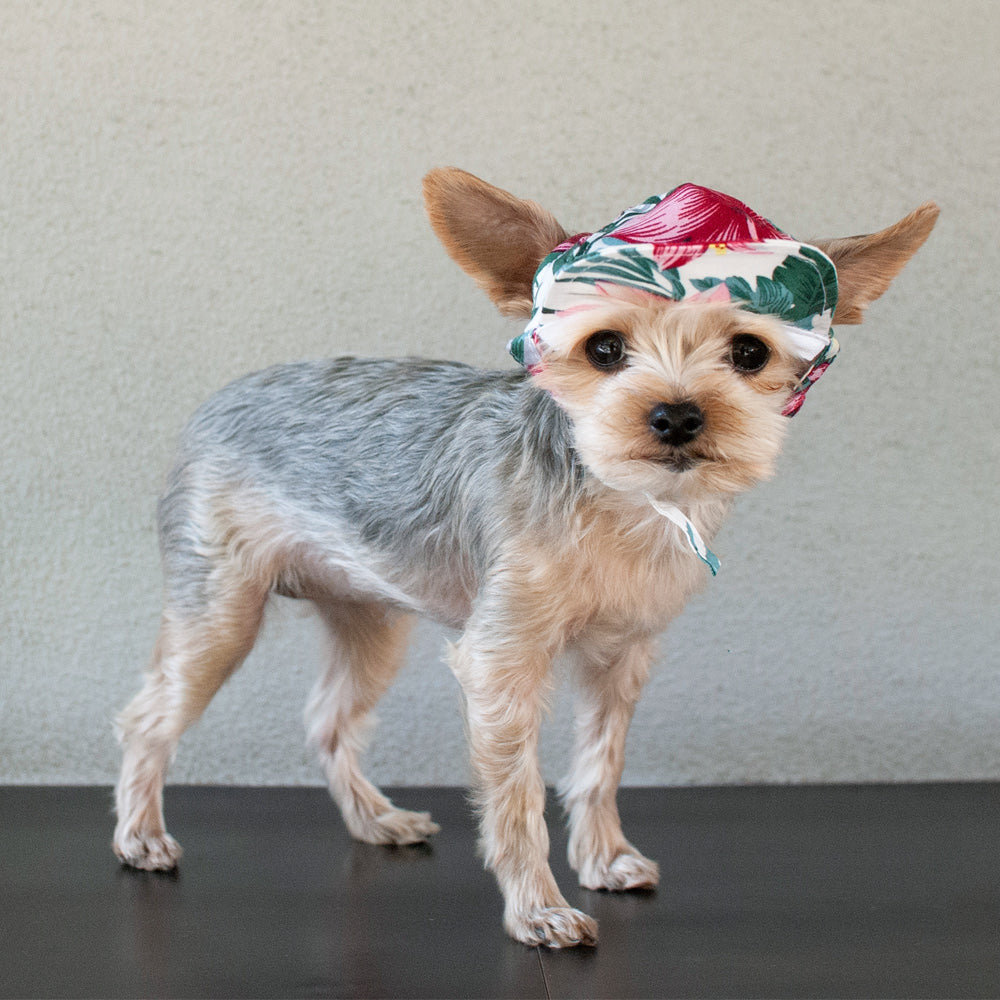 DOGO Tropical Island Dog Baseball Hat