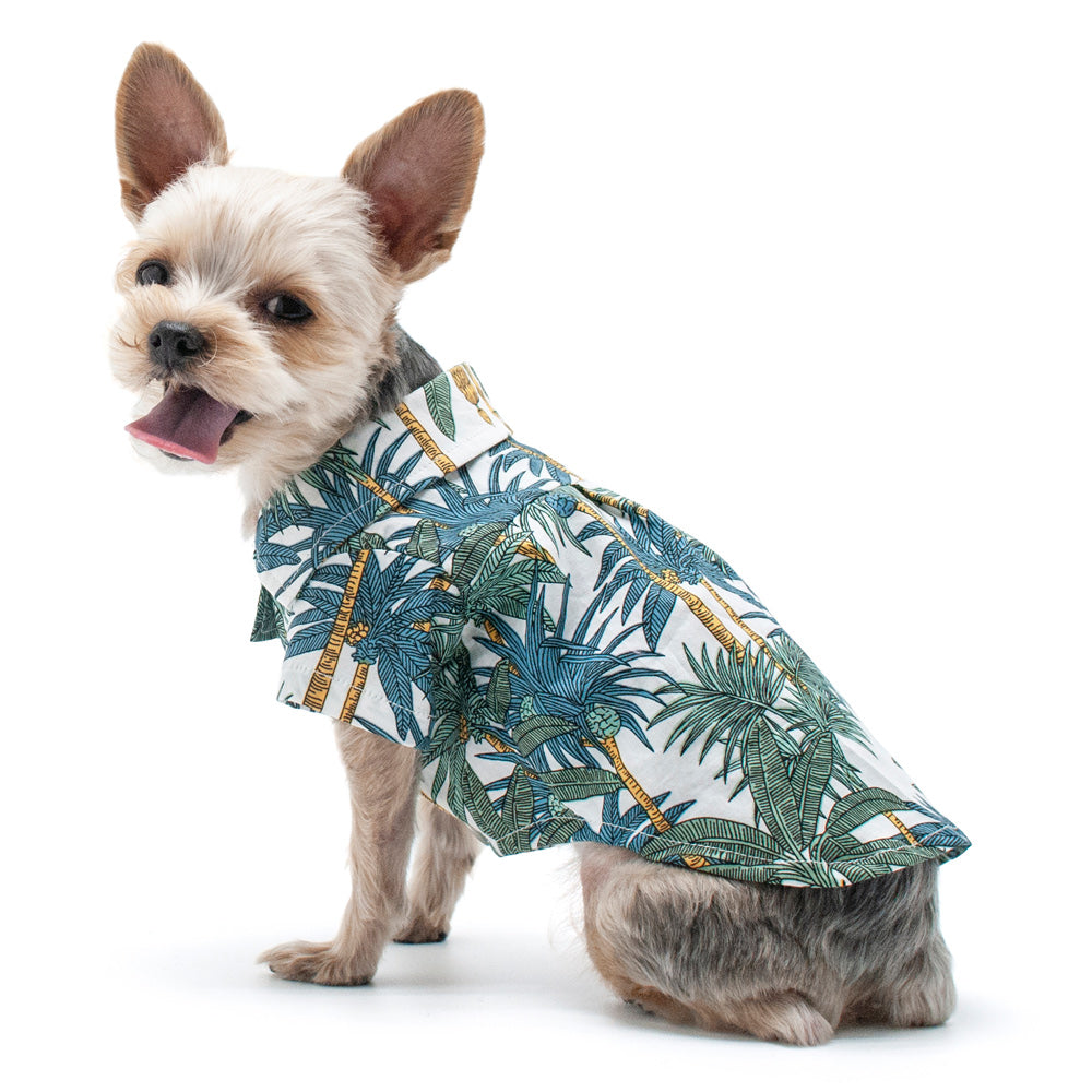 DOGO Tropical Leaf Dog Shirt