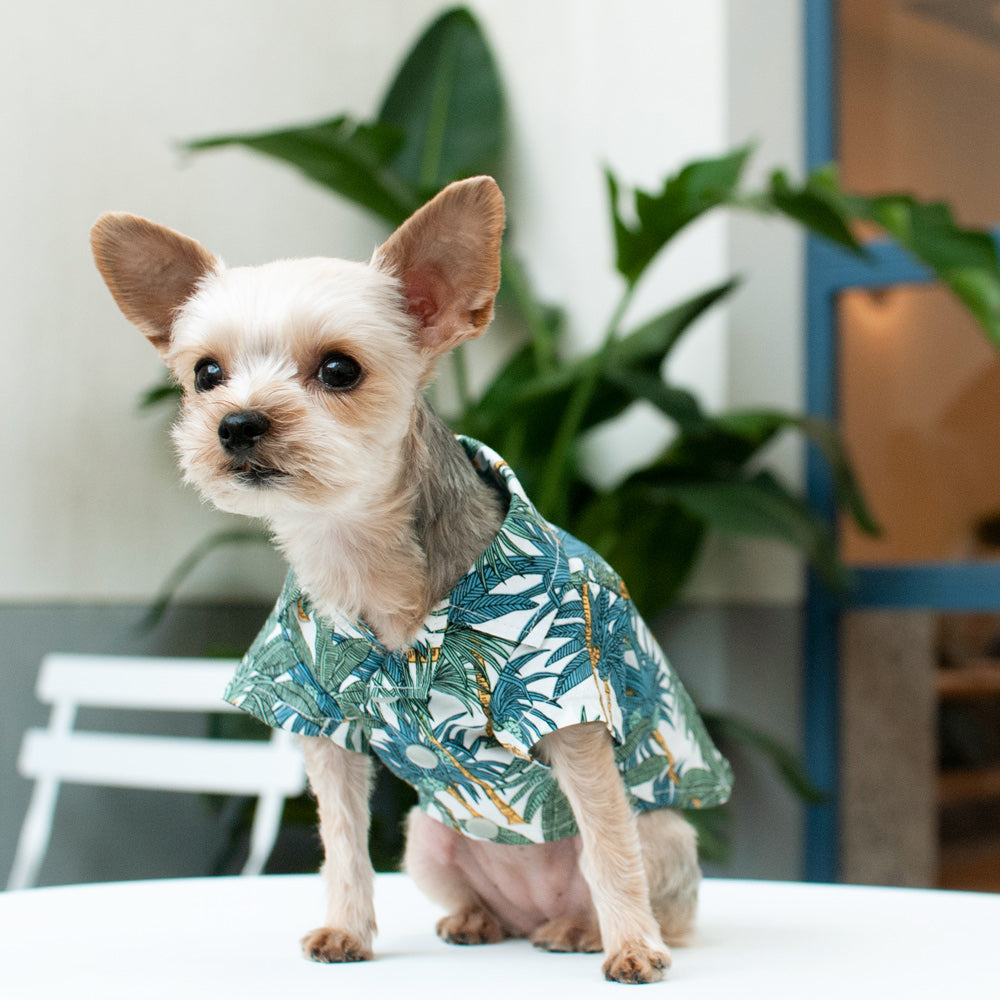 DOGO Tropical Leaf Dog Shirt