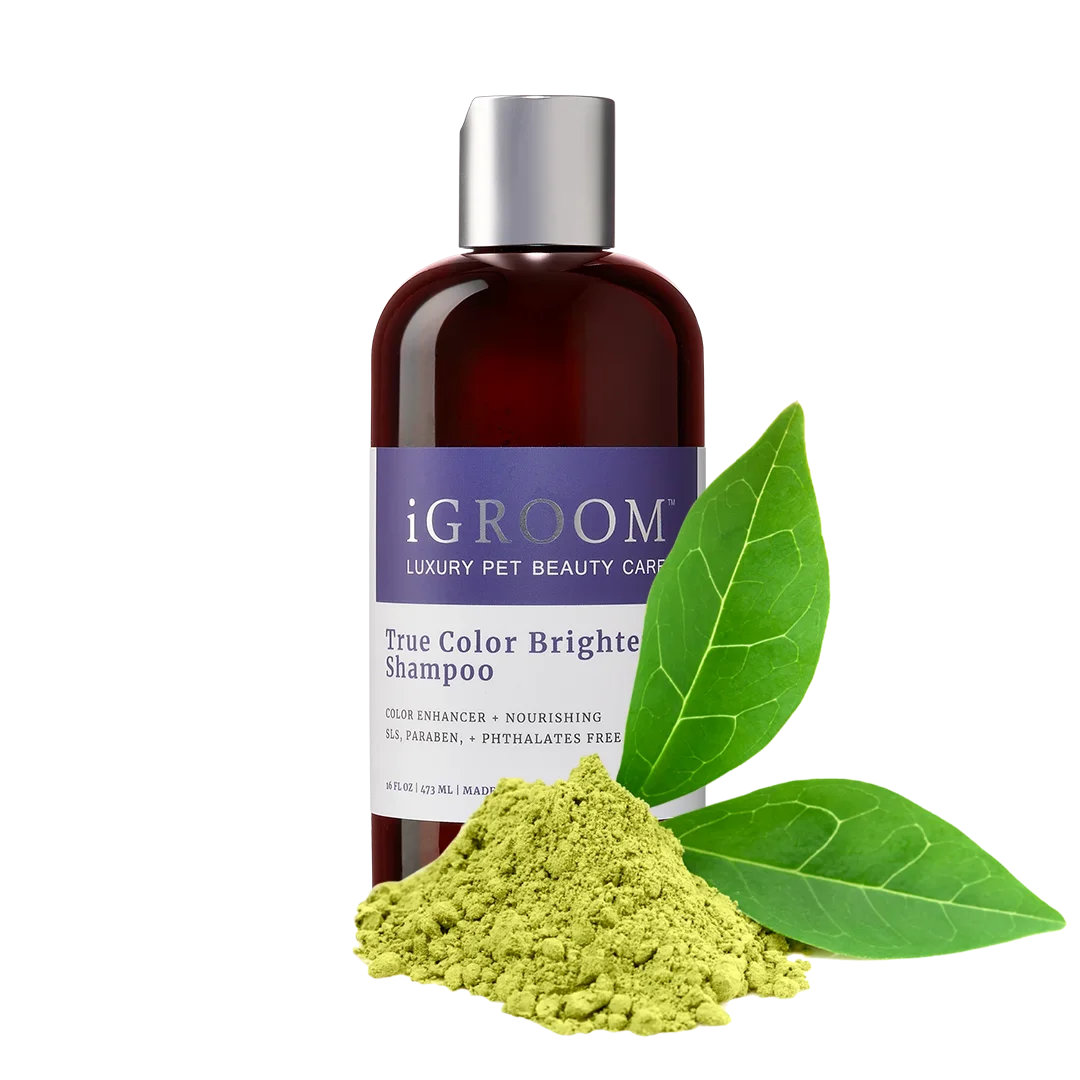 True Color Brightening Shampoo 16oz by iGroom