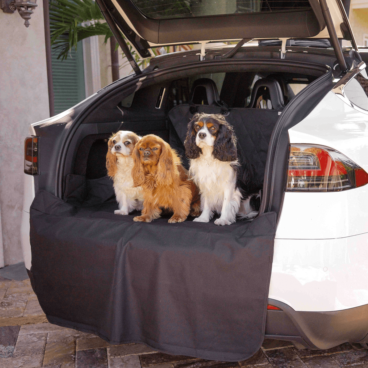 PupProtector Cargo Cover Liner for Suvs and Cars
