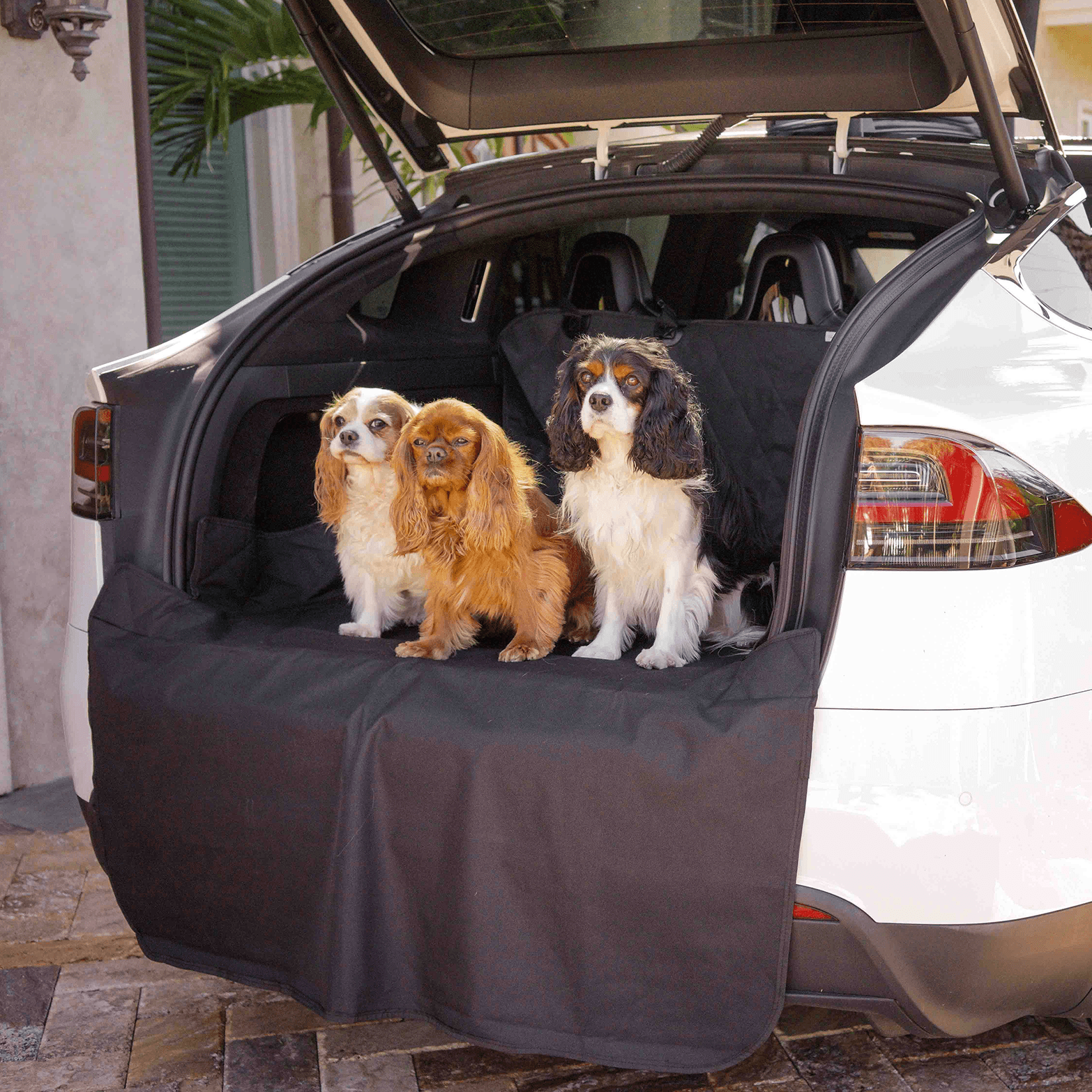 PupProtector Cargo Cover Liner for Suvs and Cars