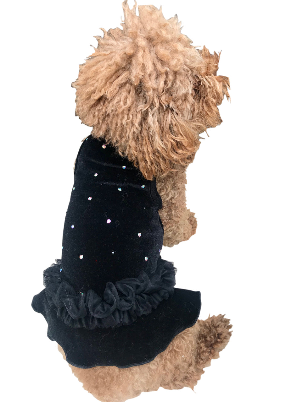 Twinkle Dog Tutu, Black Velvet