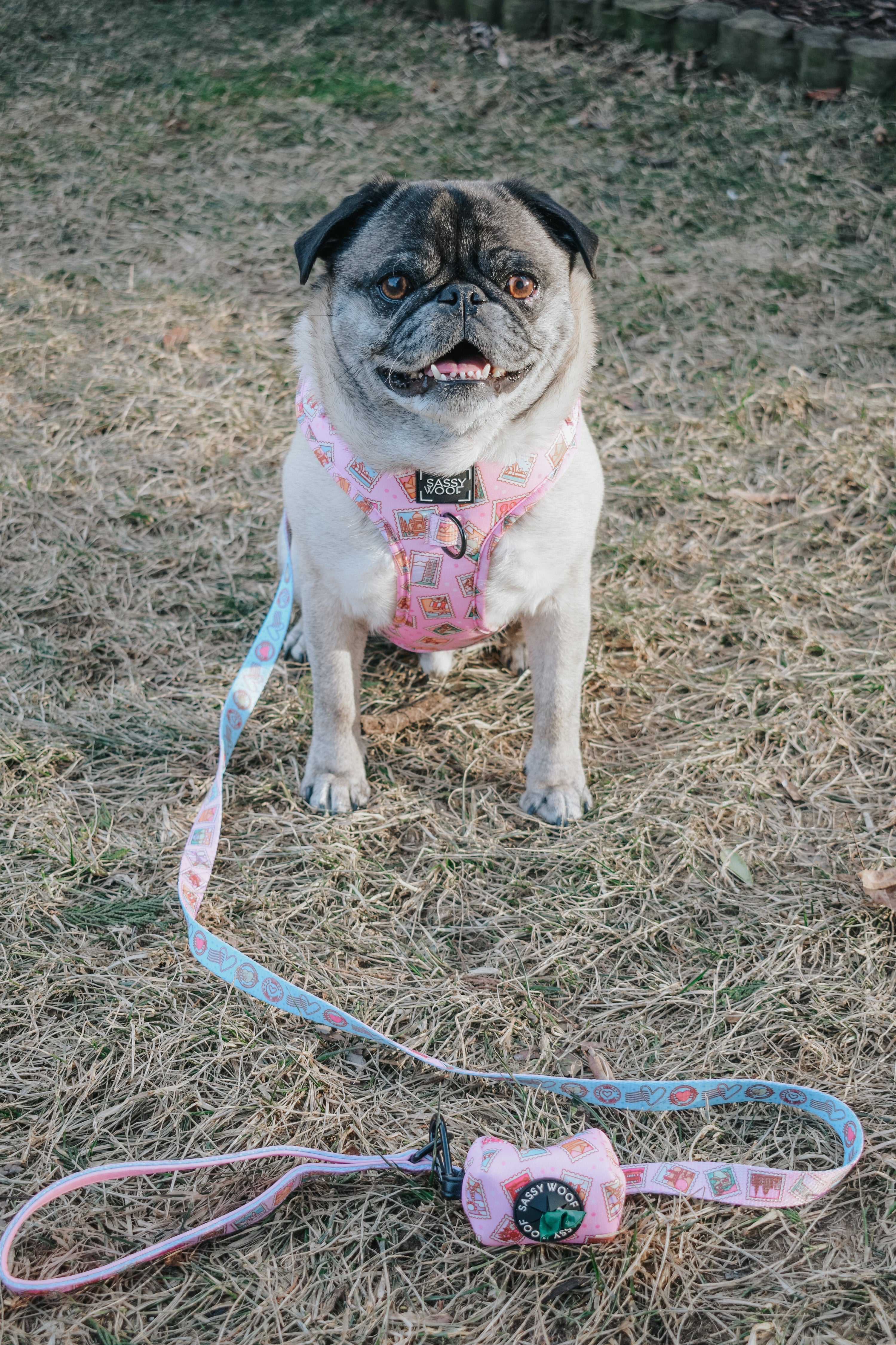 Dog Adjustable Harness - Out of Office