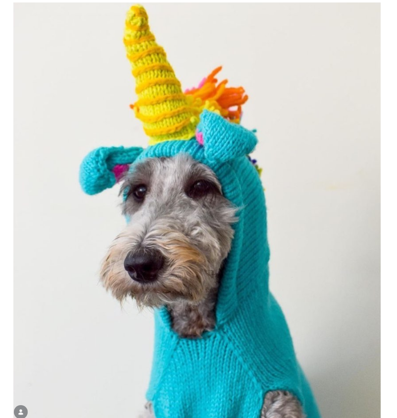 Chilly Dog Unicorn Wool Dog Sweater