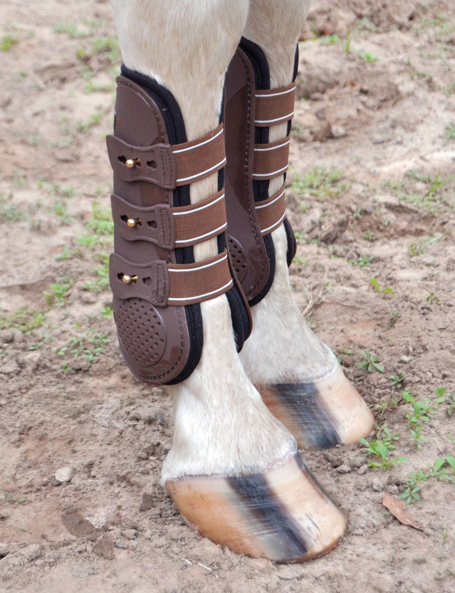 Jeffers Uniquely English Horse Tendon Boots, 2-Pack