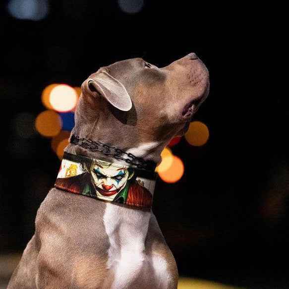 Bestia Joker Limited Edition Leather Dog Collar