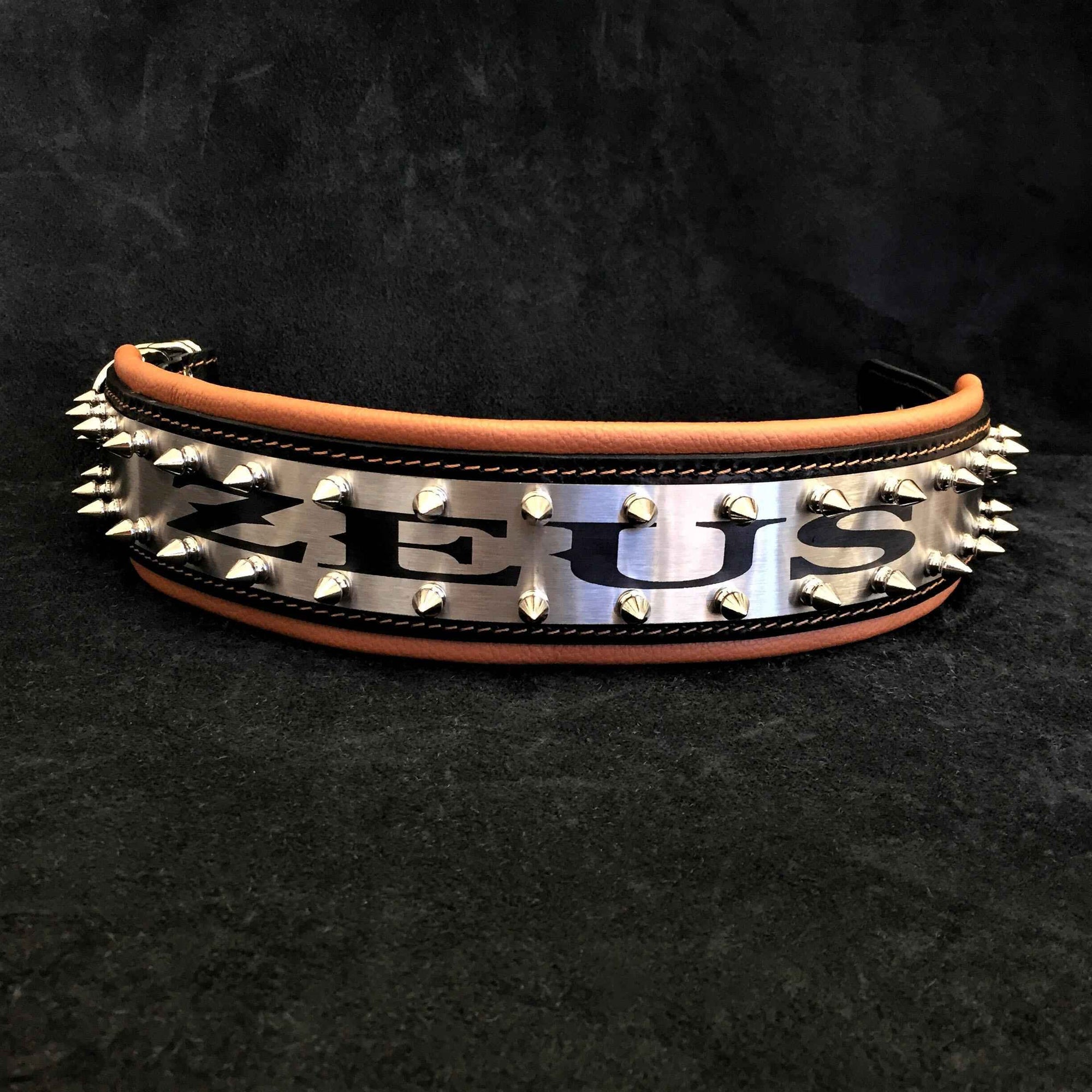 Bestia Metal Personalized Leather Dog Collar