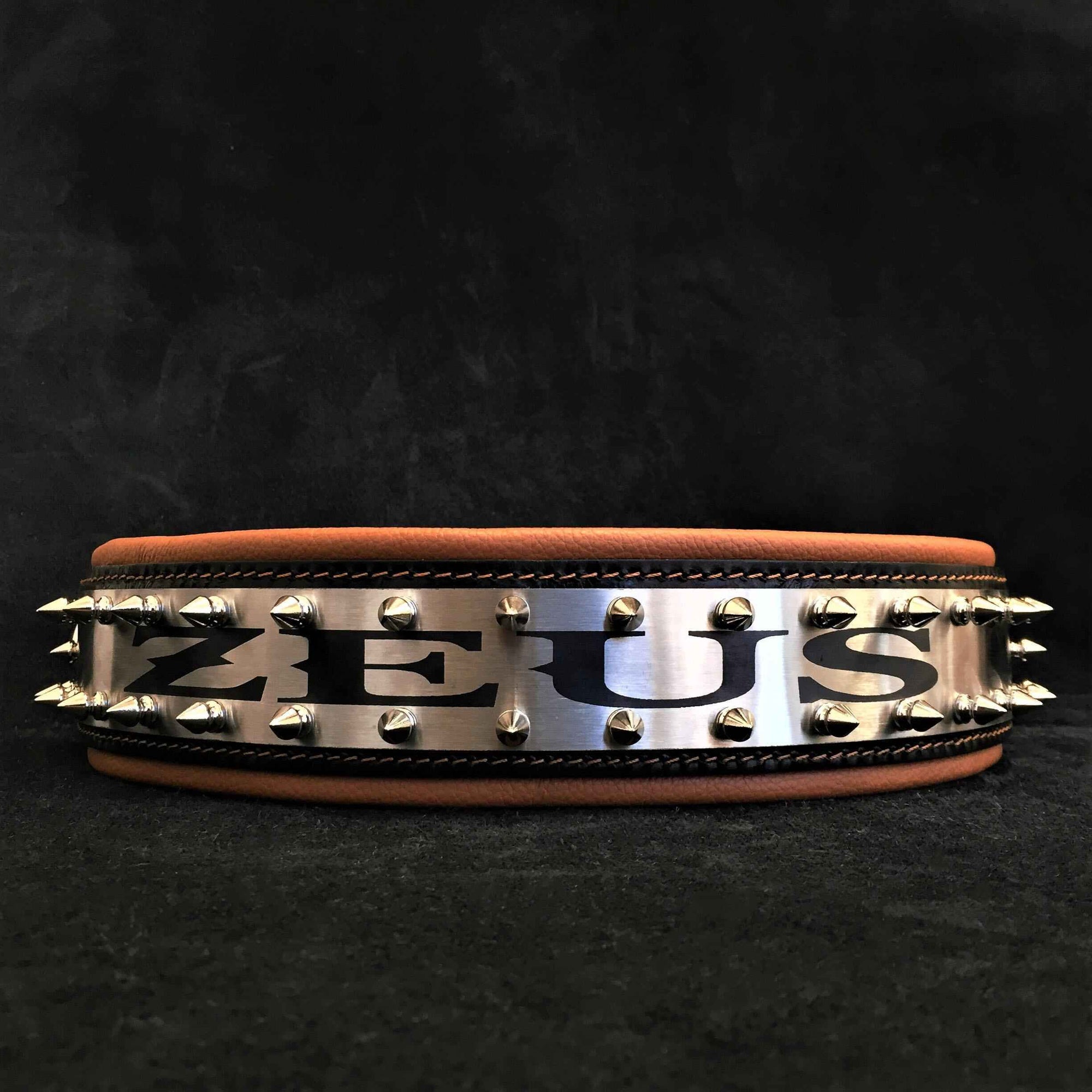 Bestia Metal Personalized Leather Dog Collar