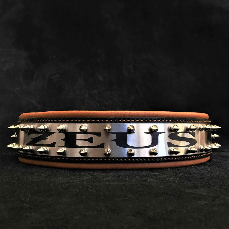 Bestia Metal Personalized Leather Dog Collar
