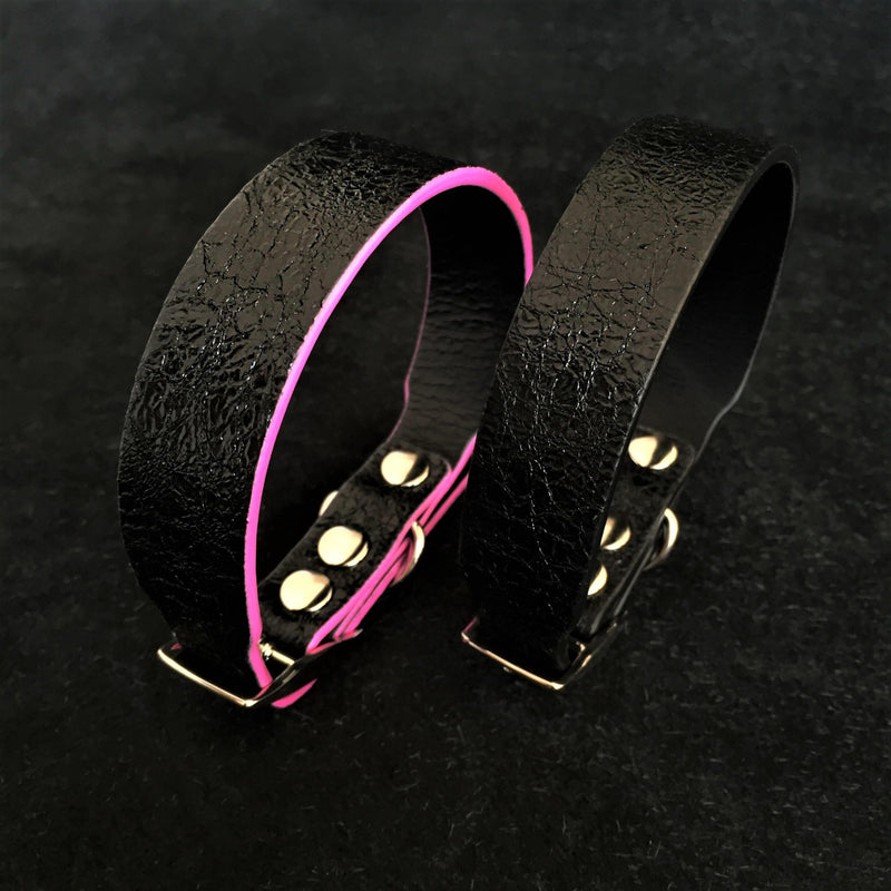 Bestia Dog Gear The Taurus puppy collar Black pet supplies