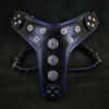 Bestia Dog Gear Genuine Leather Dog Harness - Black/M