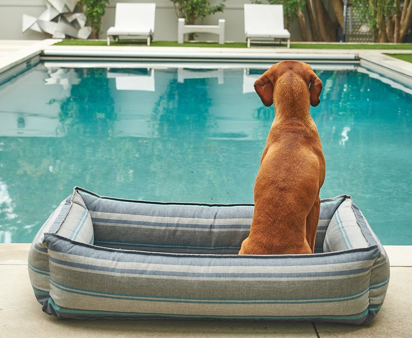 Bowsers Urban Lounger Poolside