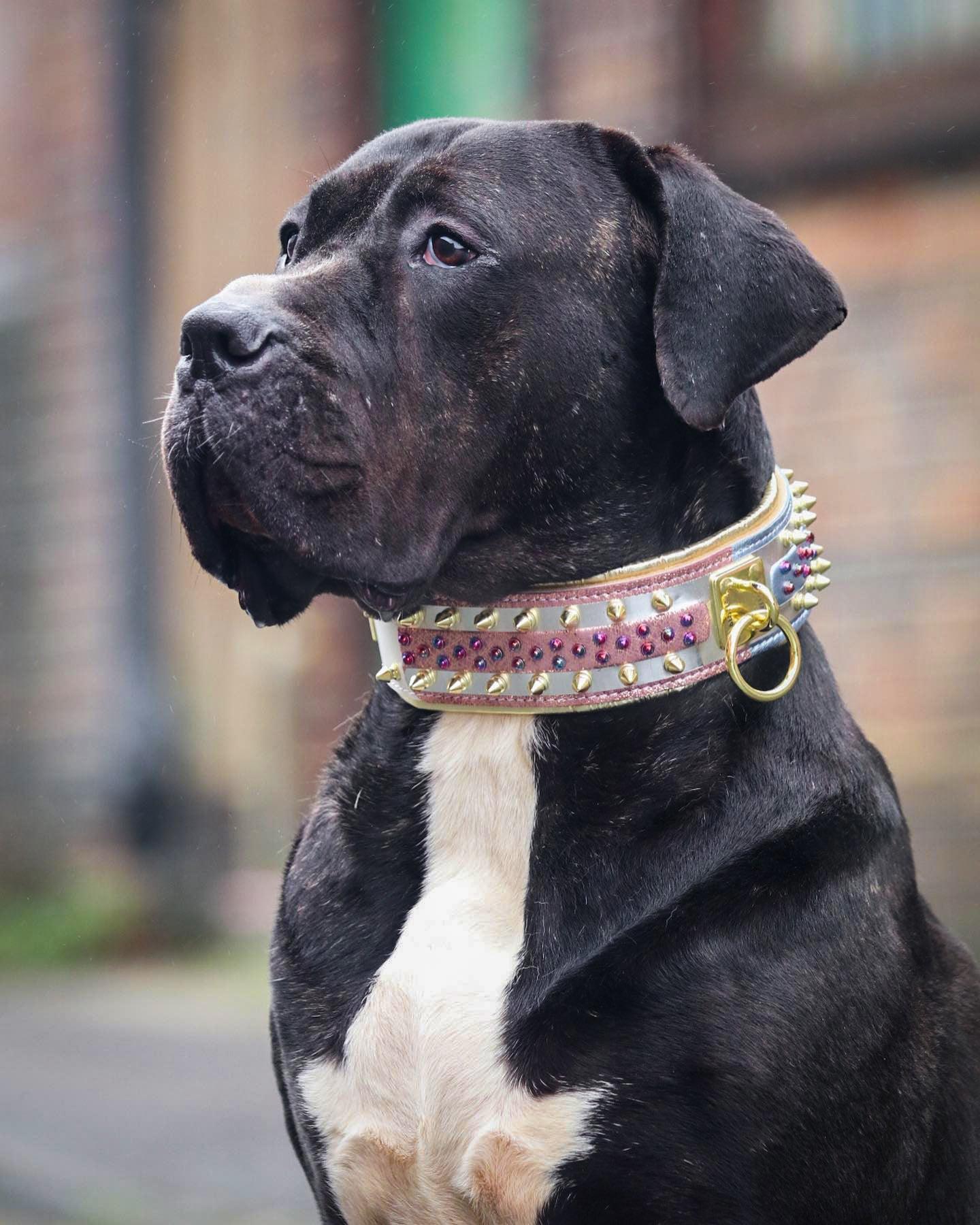 Bestia Candy Leather Dog Collar