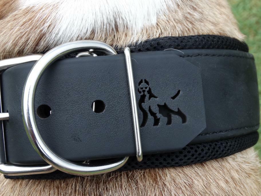 Bestia Dog Sport Collar