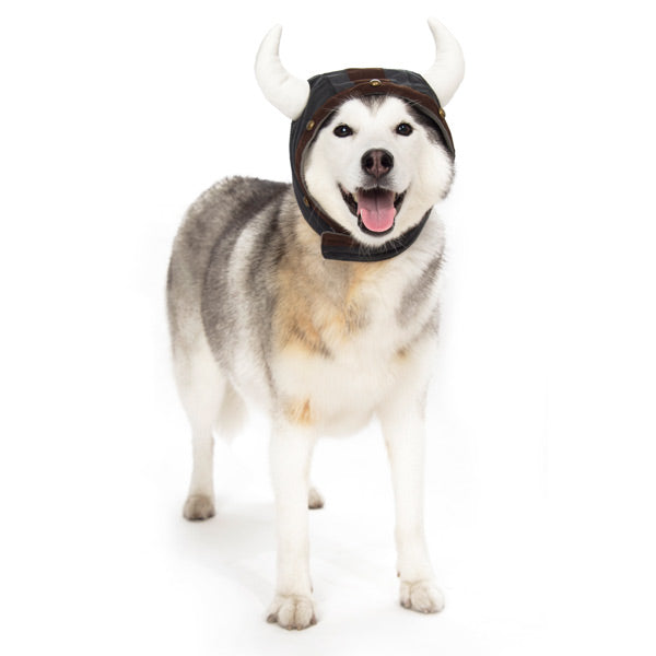 DOGO Viking Helmet Dog Costume Hat