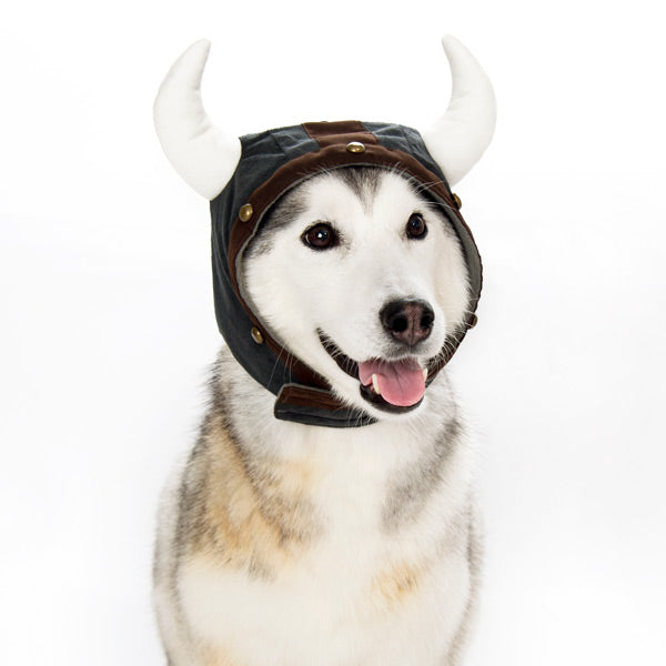 DOGO Viking Helmet Dog Costume Hat