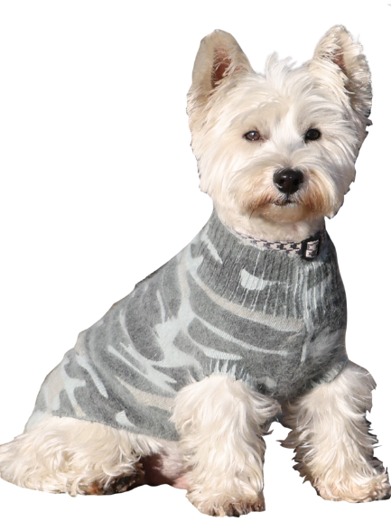 Lightwashed Camouflage Mockneck, Olive