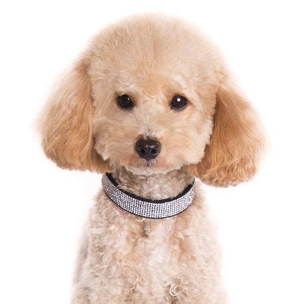 DOGO VIP Bling Dog Collar