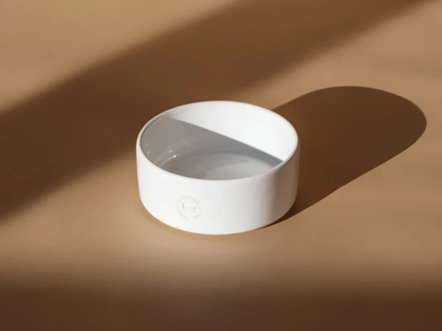 Ceramic Pet Bowl