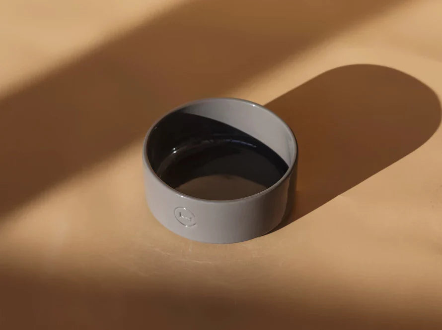 Ceramic Pet Bowl