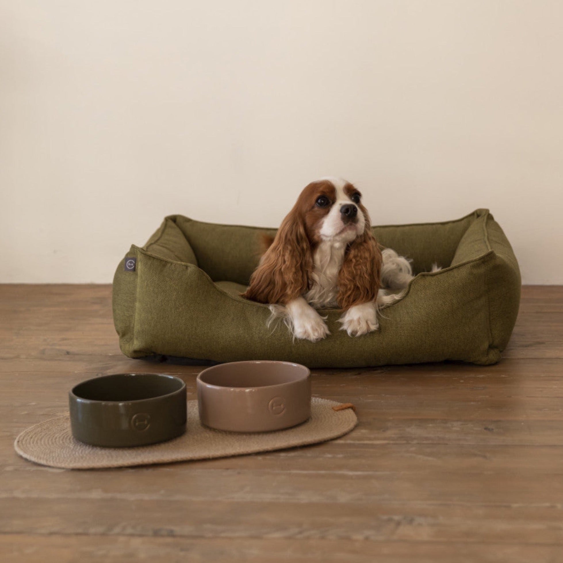 Ceramic Pet Bowl