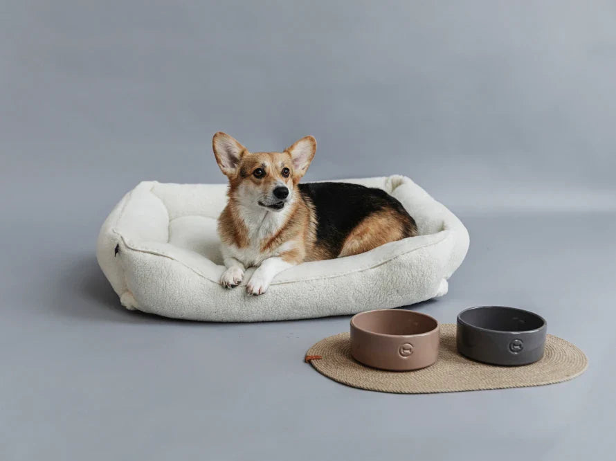 Ceramic Pet Bowl