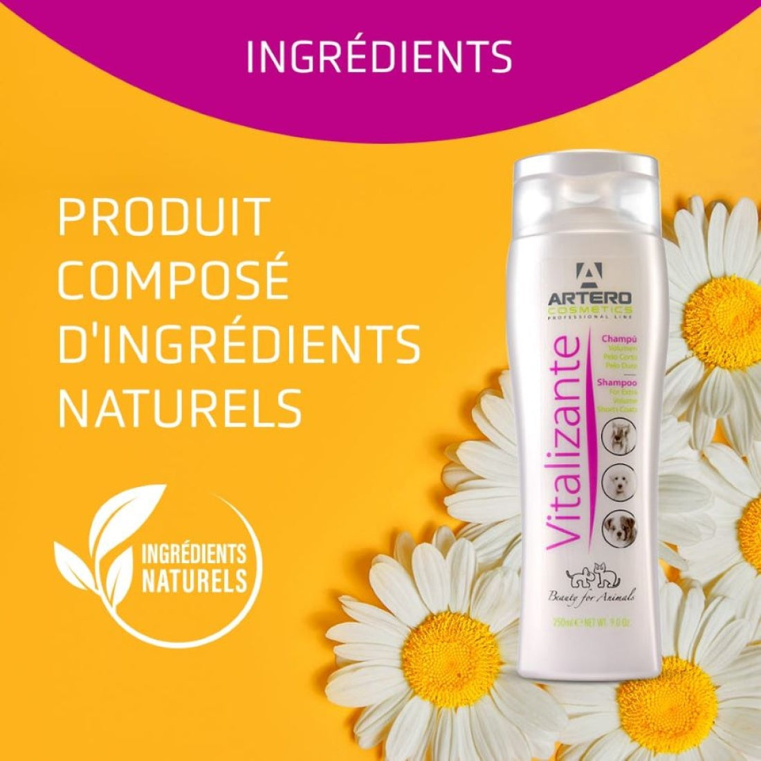 Vitalizante Volumizing Shampoo 9 oz by Artero