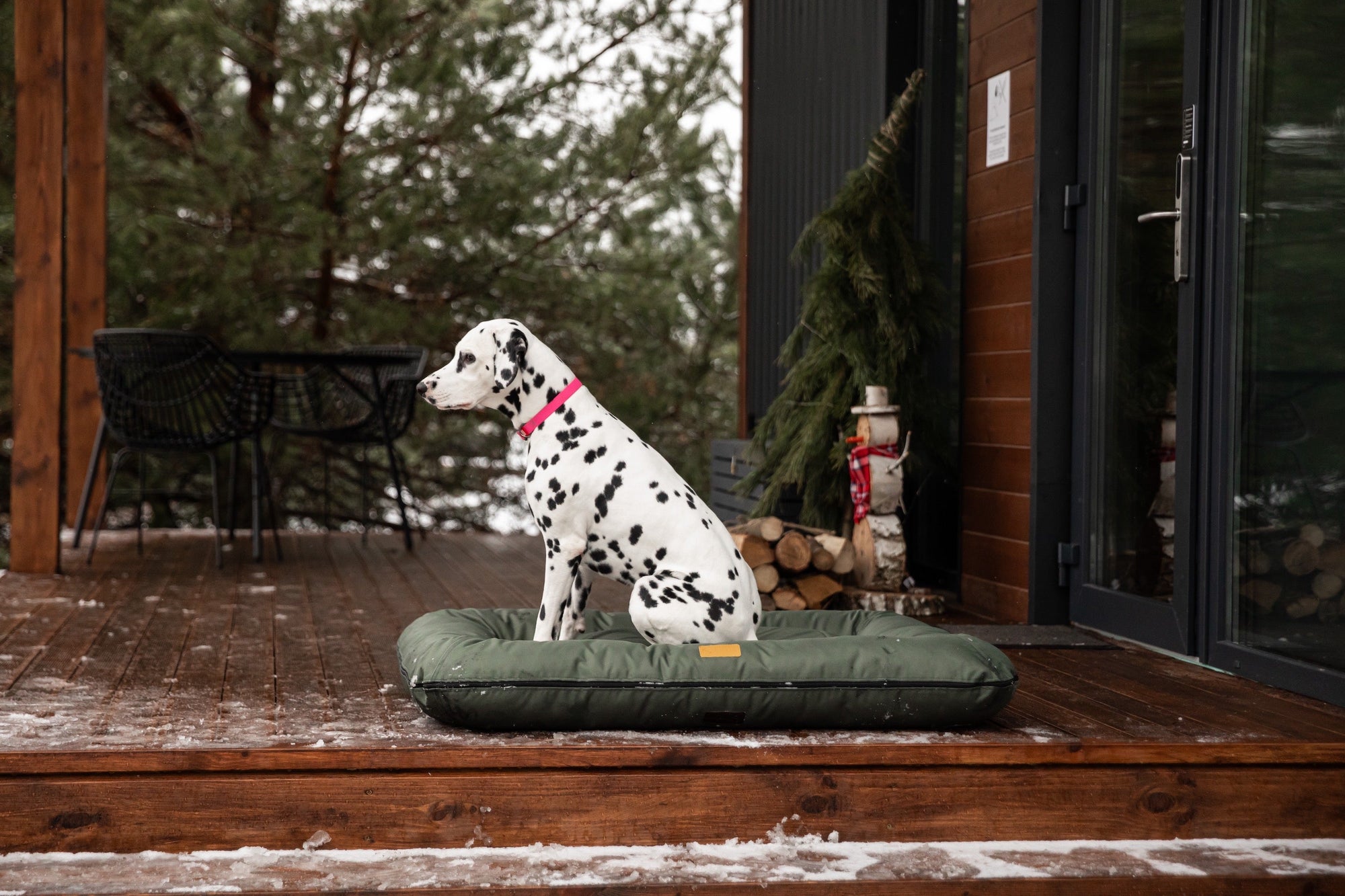 Chester & Lee | Waterproof Lounger Dog Bed Green | HT Animal Supply