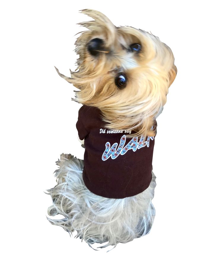 Did someone say WALK? Tee