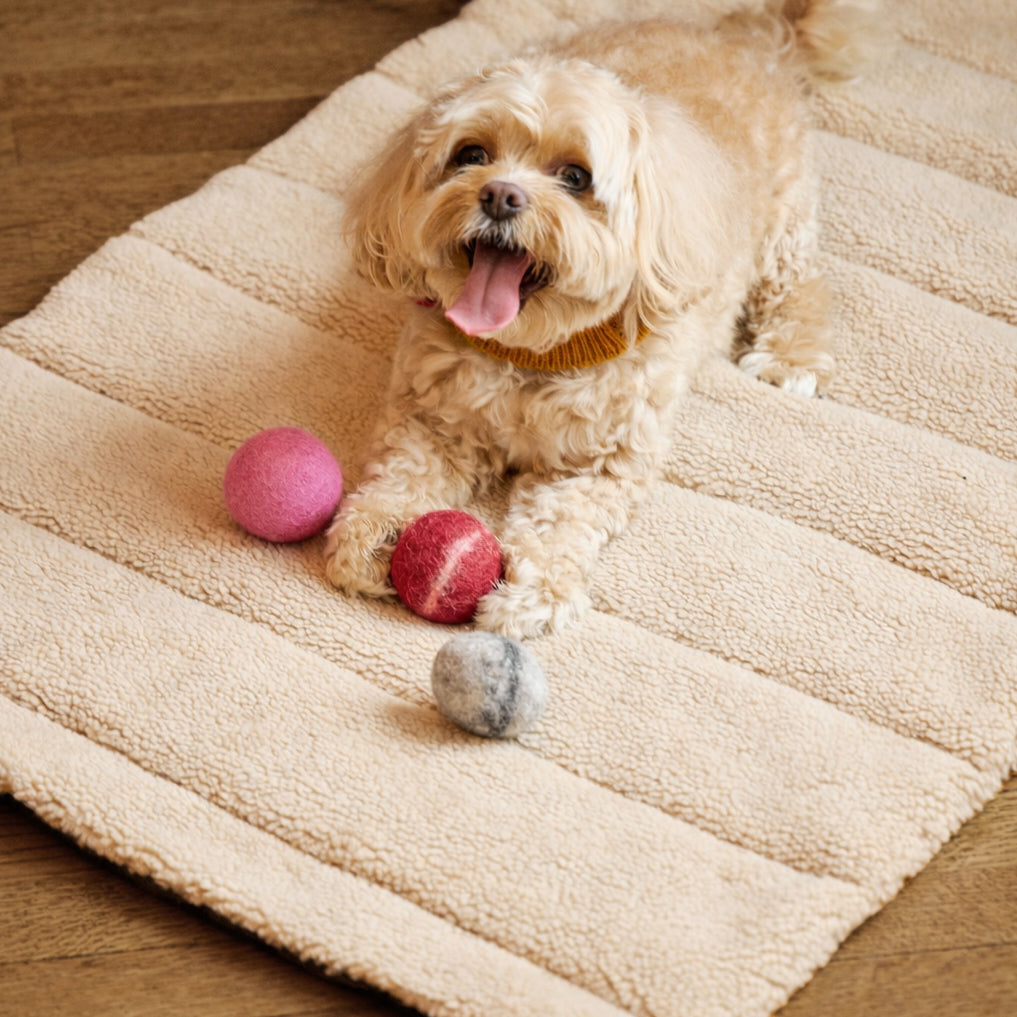 Nooee Pet Wool Toy Ball Set (5CM)